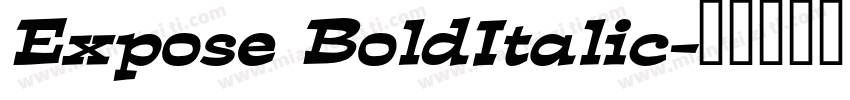 Expose BoldItalic字体转换